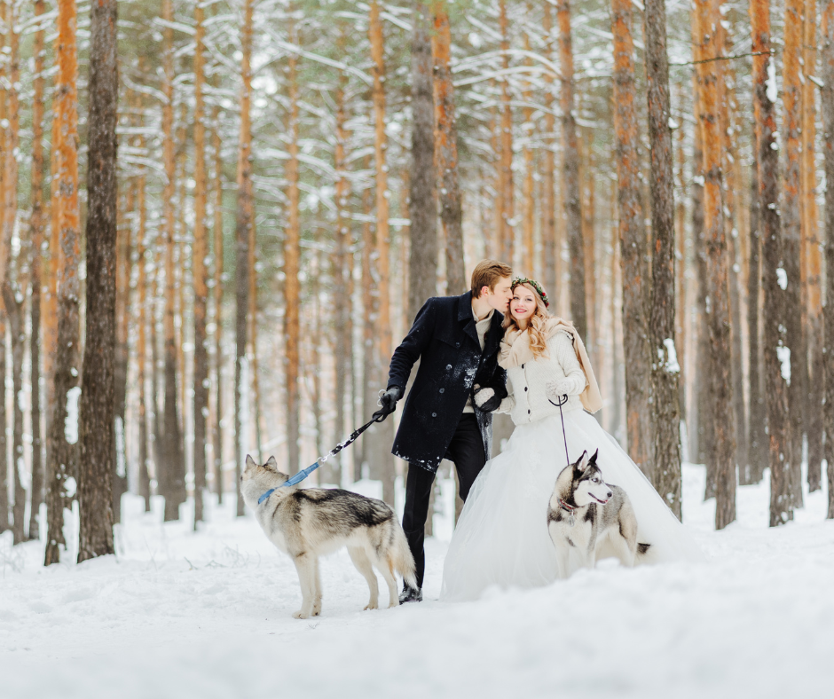 Couple de mariés dans la neige dans la forêt avec des chiens loup en laisse.Mariage d'hiver. Wedding Planner en Ile de France. Paris en Noces 
